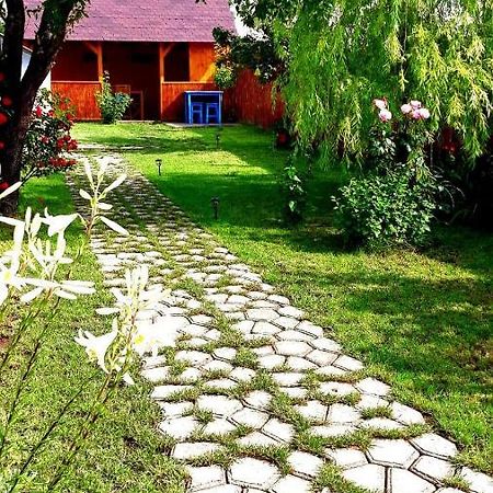 Вилла Casa Pavel Журиловка Экстерьер фото