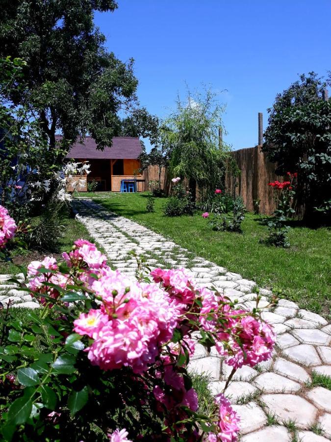 Вилла Casa Pavel Журиловка Экстерьер фото