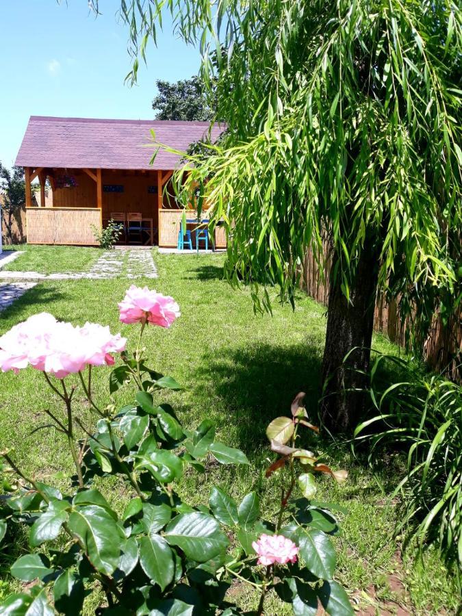 Вилла Casa Pavel Журиловка Экстерьер фото