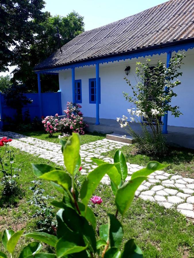 Вилла Casa Pavel Журиловка Экстерьер фото