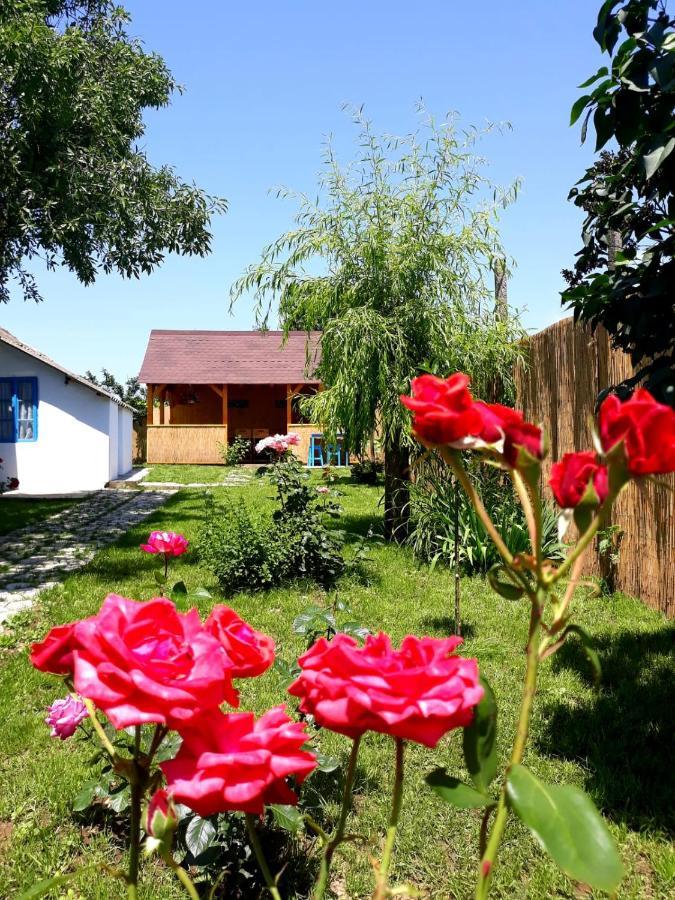 Вилла Casa Pavel Журиловка Экстерьер фото