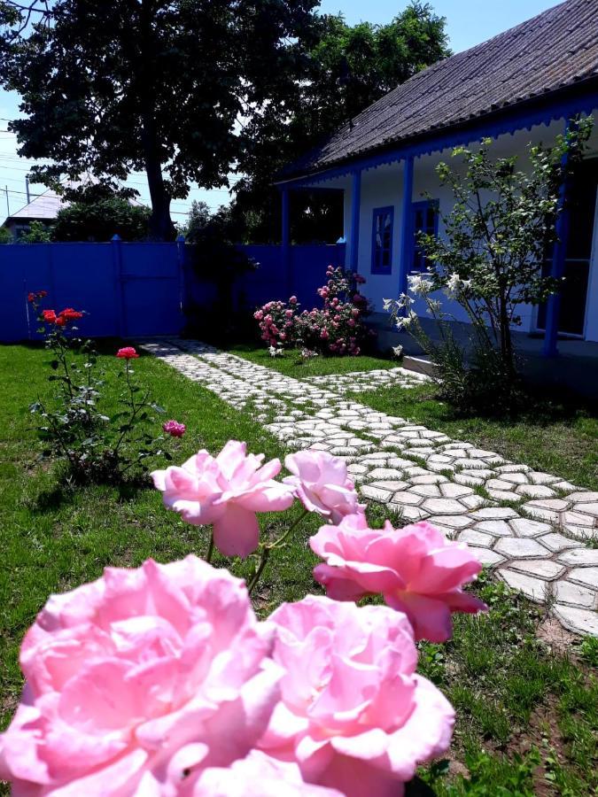 Вилла Casa Pavel Журиловка Экстерьер фото