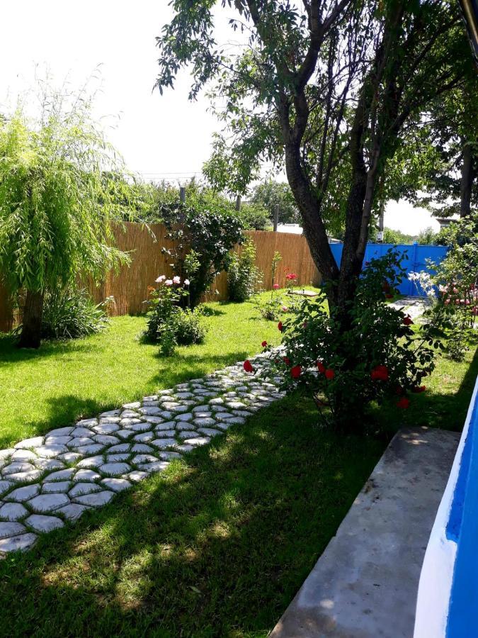 Вилла Casa Pavel Журиловка Экстерьер фото