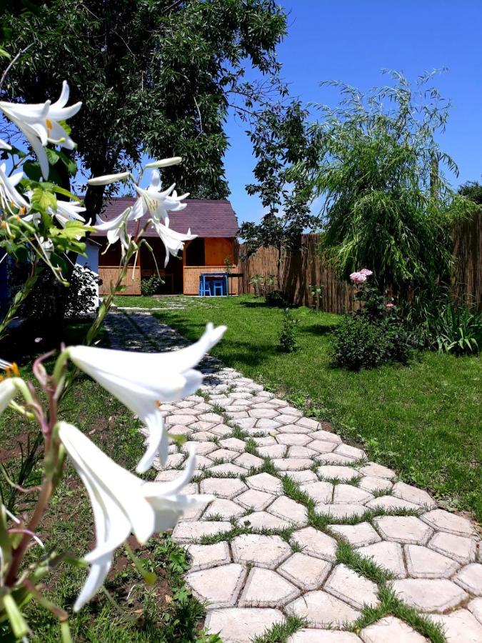 Вилла Casa Pavel Журиловка Экстерьер фото