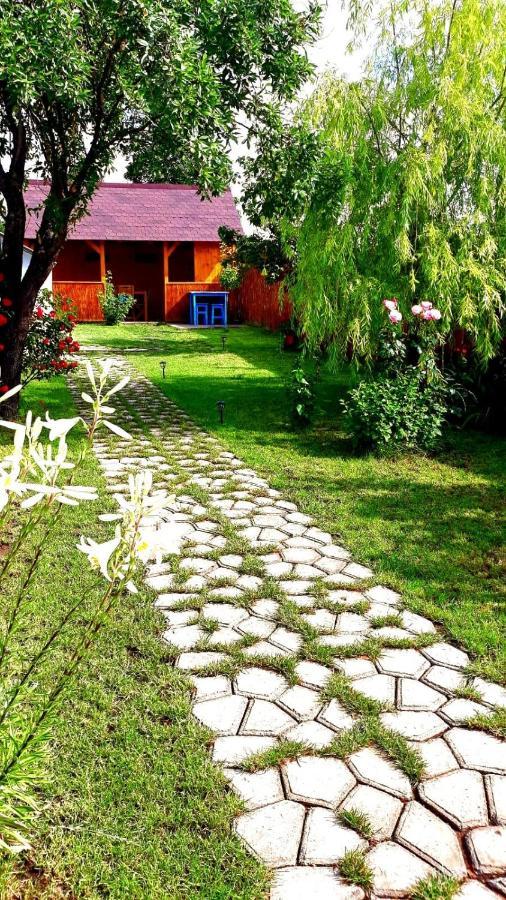 Вилла Casa Pavel Журиловка Экстерьер фото